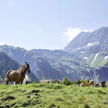 With Mountain Views In *